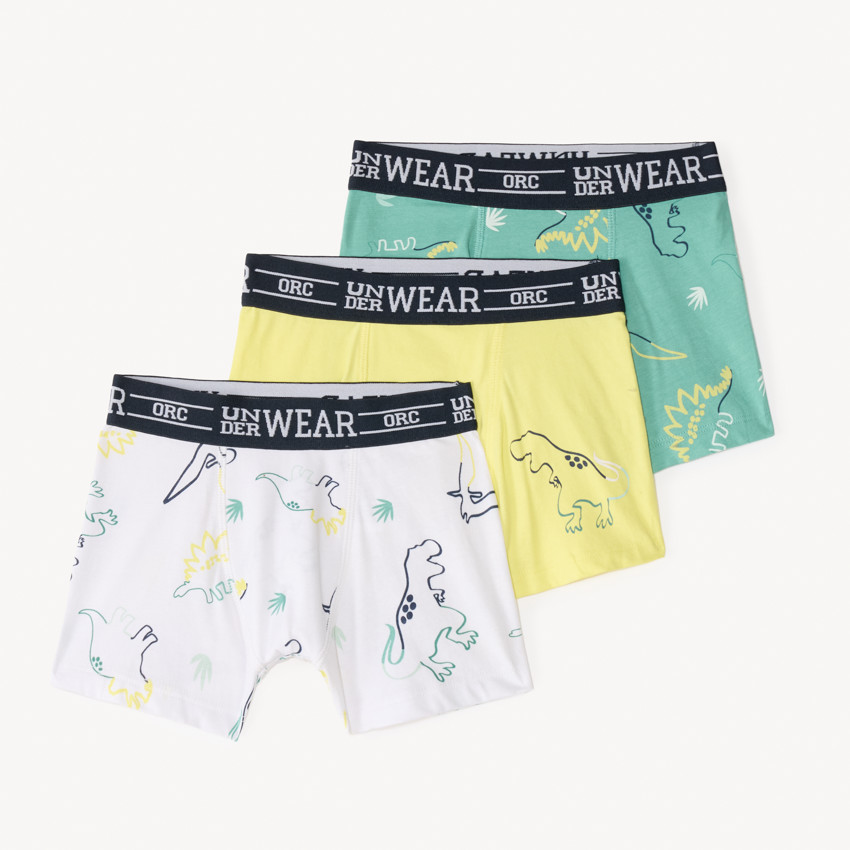 Lot de 3 boxers fantasie motifs dinosaure garçon 