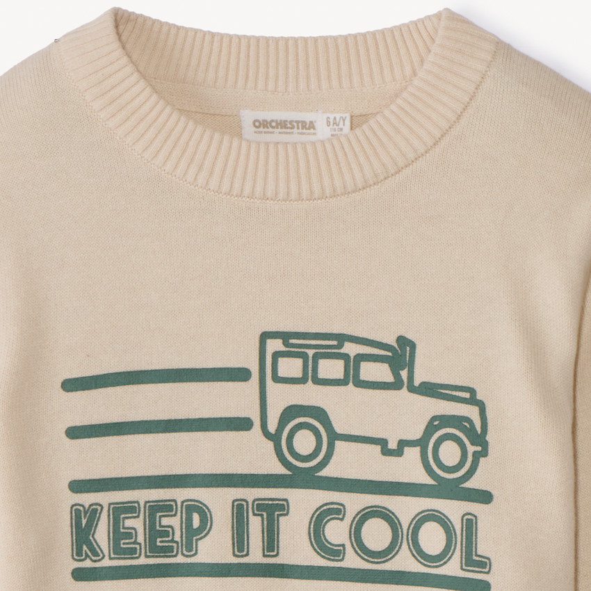 Pull en tricot printé pour garçon 