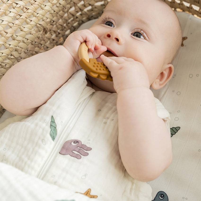 Lot de 2 anneaux de dentition Deer Friends - Moutarde/Rose 