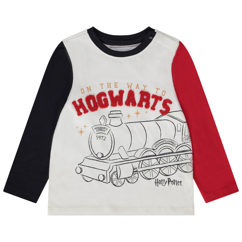 T-shirt manches longues effet color block Harry Potter Warner pour bébé garçon 