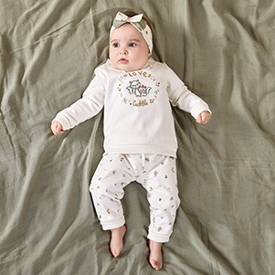 Family Fox 1-12 maanden