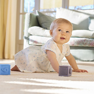 Blueberries 0-12 maanden