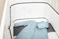 Le R&ecirc;ve de L&eacute;o